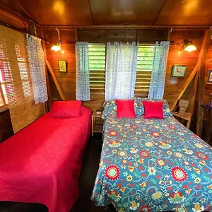 Hostel Judy House And