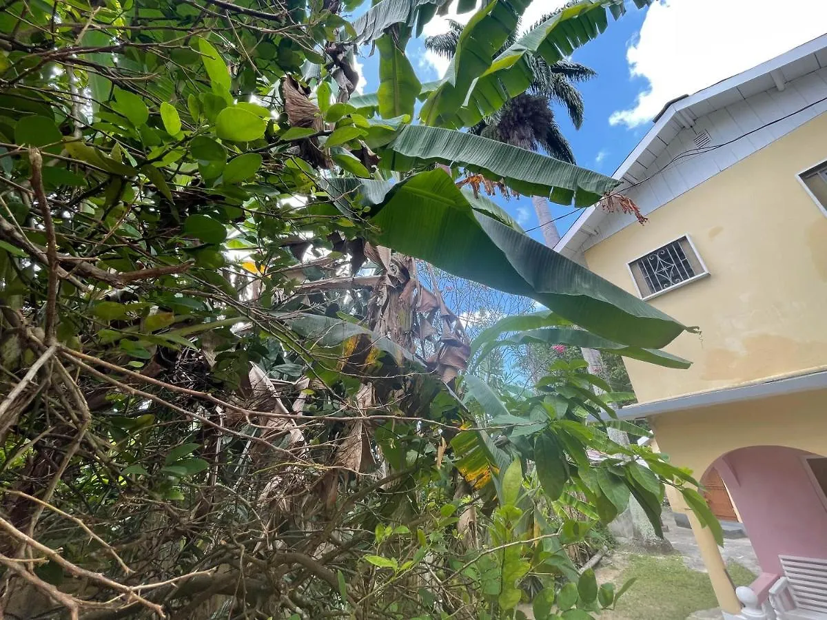 Little Shaw Park Guest House Ocho Rios 2*,