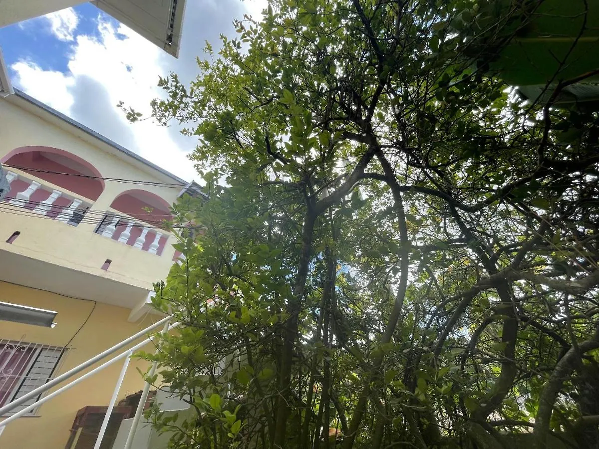 Little Shaw Park Guest House Ocho Rios