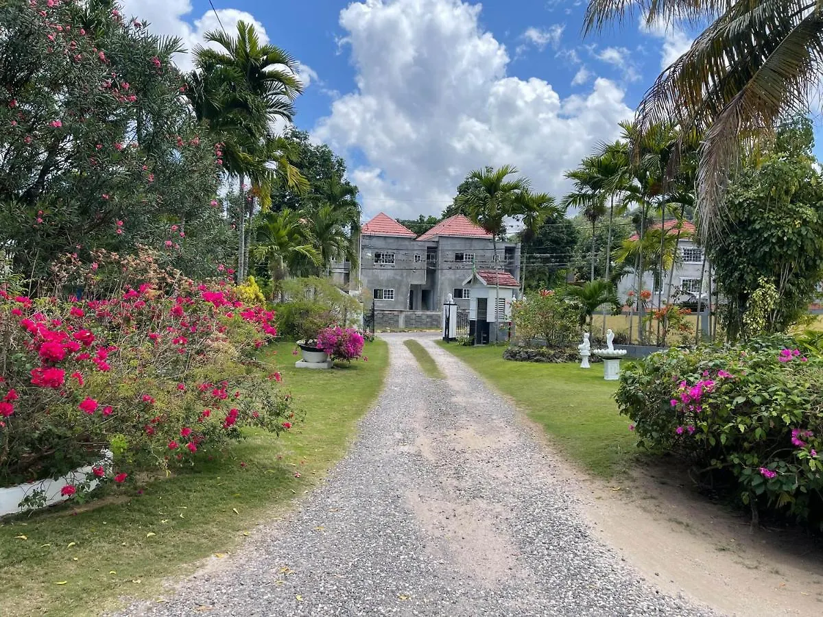 Little Shaw Park Guest House Ocho Rios Jamaica