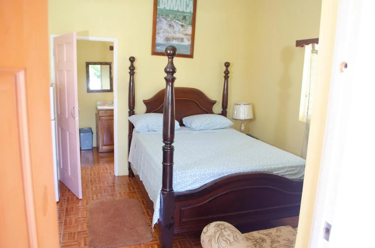 אוצ'ו ריוס Little Shaw Park Guest House
