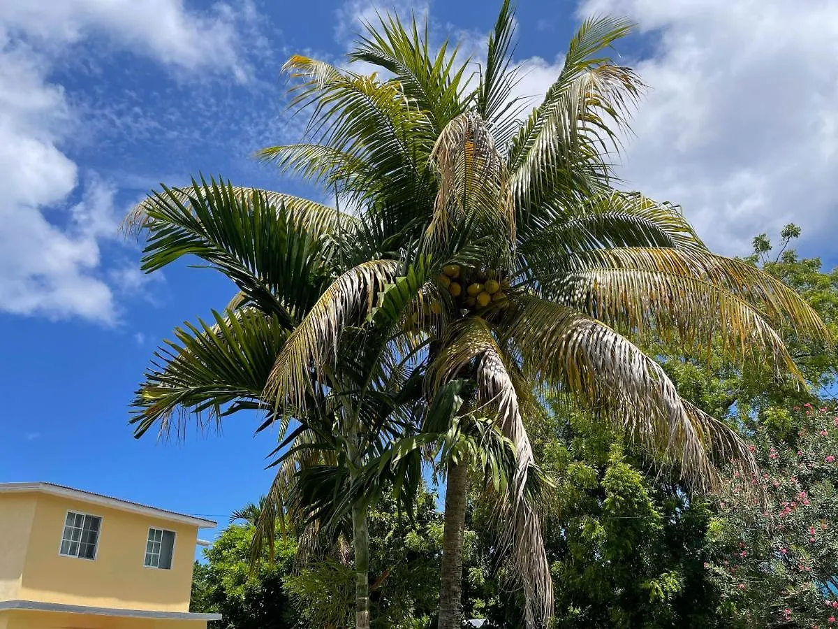 אוצ'ו ריוס Little Shaw Park Guest House