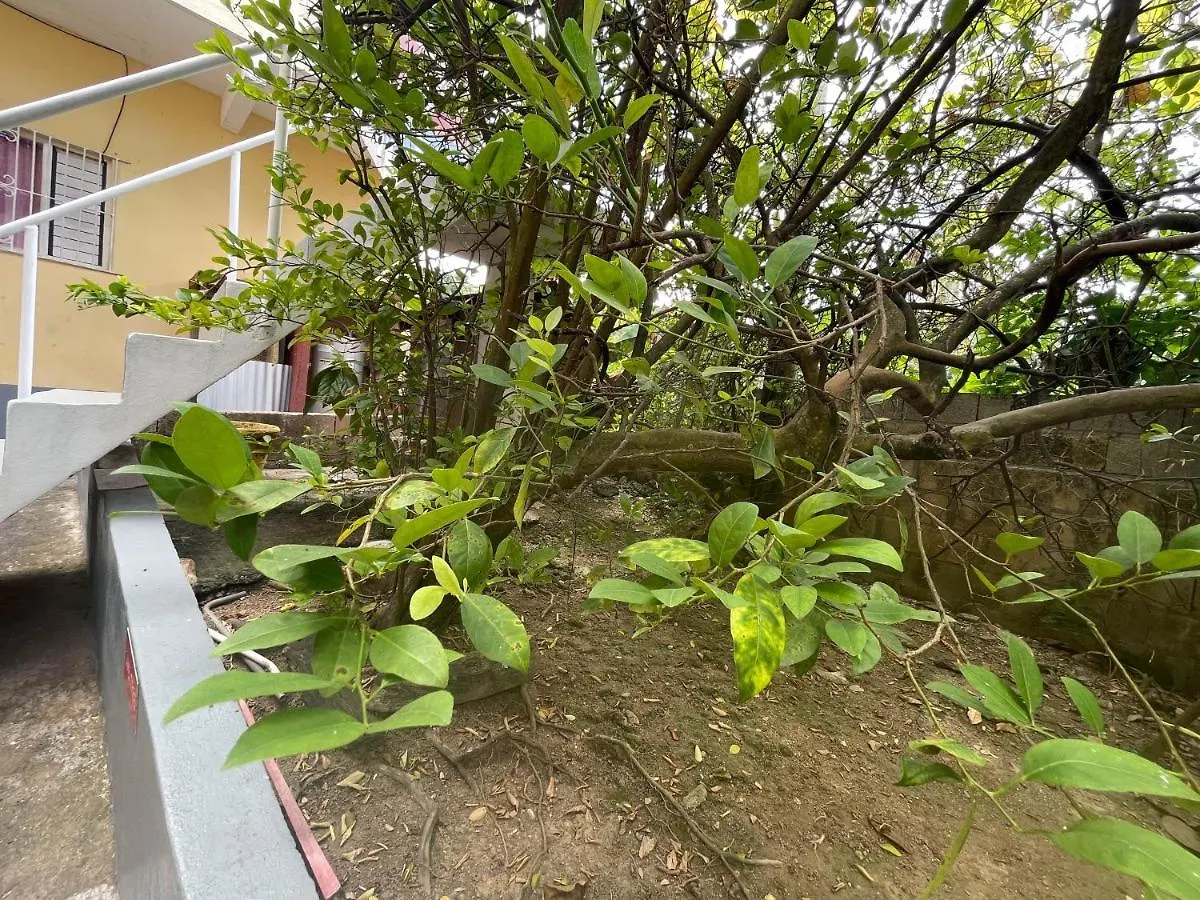 אוצ'ו ריוס Little Shaw Park Guest House